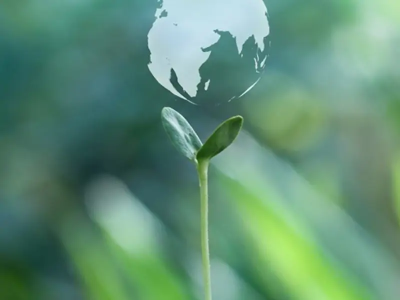 المشروع الرابع